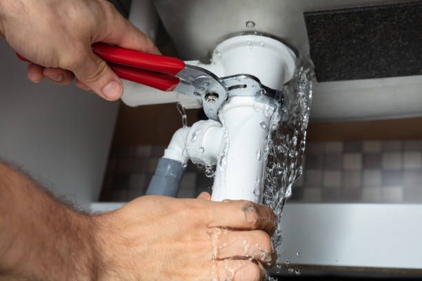 Best Mold removal after water damage  in Panacea, FL