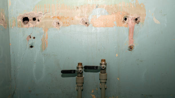 Best Commercial water damage restoration  in Panacea, FL