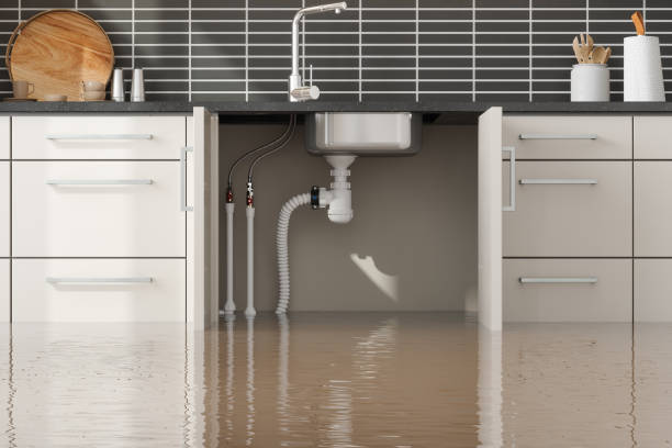 Best Flooded house restoration  in Panacea, FL