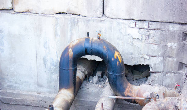 Best Water damage contractors near me  in Panacea, FL