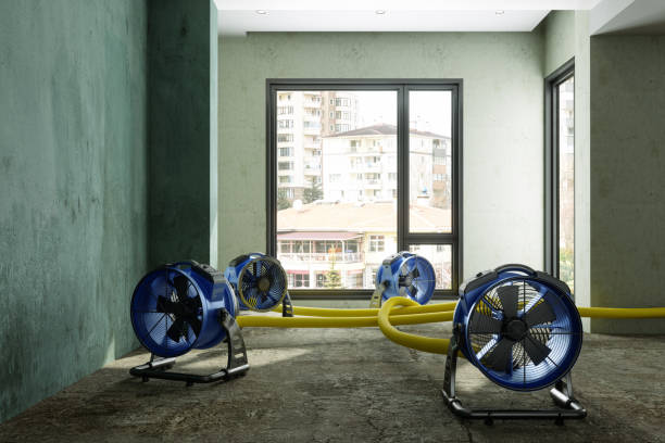 Best Carpet water damage restoration  in Panacea, FL