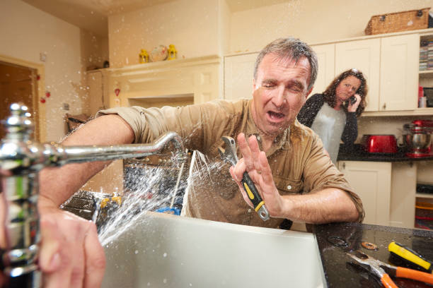 Best Basement water damage restoration  in Panacea, FL
